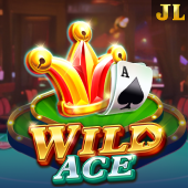 Wild Ace 3win casino slot